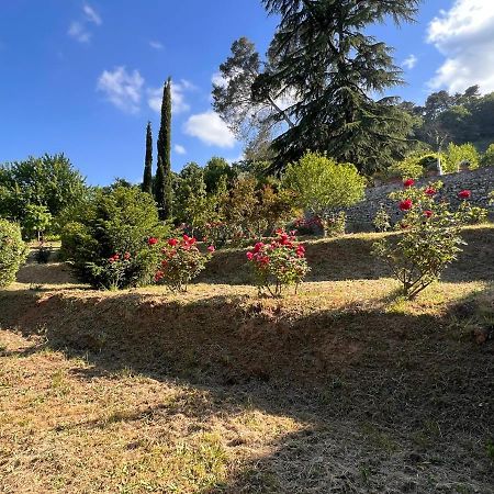Borgo Al Canto Degli Alberi Lucca Bagian luar foto