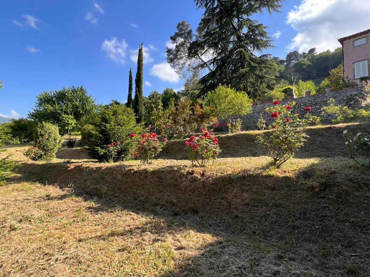 Borgo Al Canto Degli Alberi Lucca Bagian luar foto