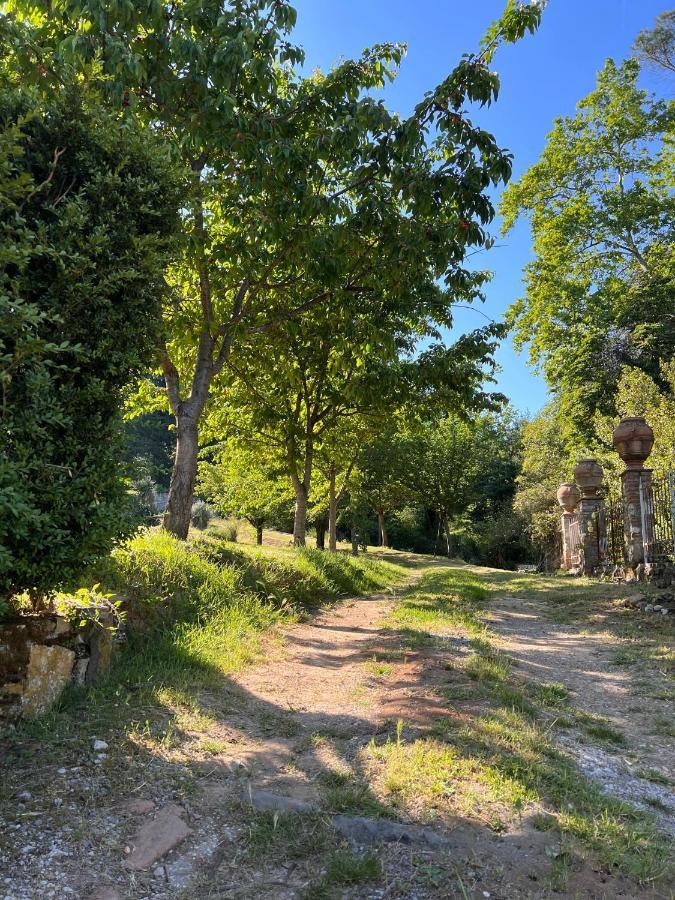 Borgo Al Canto Degli Alberi Lucca Bagian luar foto
